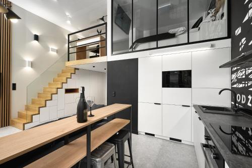 Kuchyňa alebo kuchynka v ubytovaní Loft Piotrkowska 37