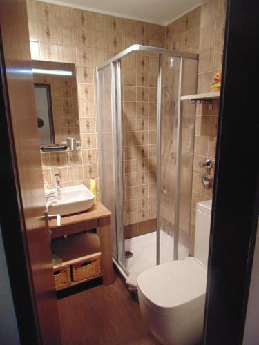 a bathroom with a shower and a toilet and a sink at Ferienwohnung Mattenklotz in Sachrang