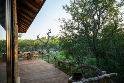 Zahrada ubytování Jabulani Safari