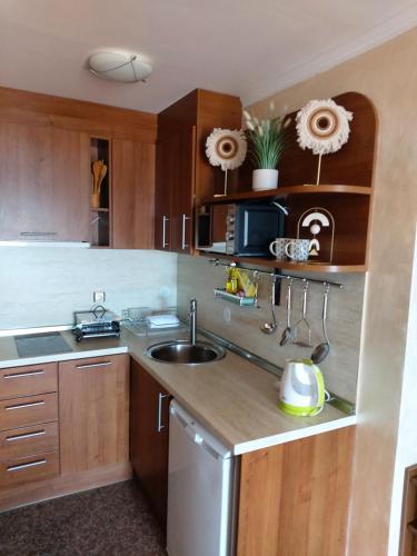 uma cozinha com armários de madeira e um lavatório em Guest House Skalite em Sozopol