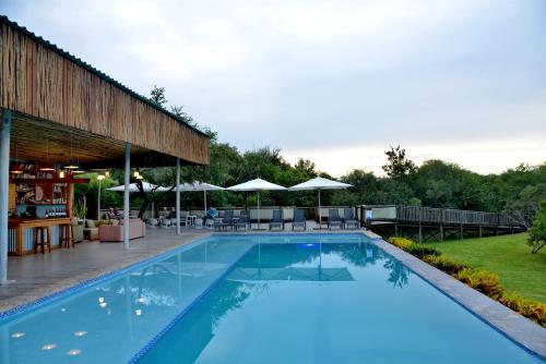 une grande piscine bleue à côté d'un bâtiment dans l'établissement Kruger Safari Lodge, à Domaine de chasse de Manyeleti