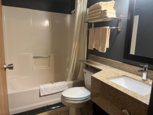 a bathroom with a toilet and a sink and a tub at Regency Inn & Suites in Anoka