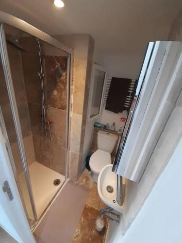 une petite salle de bain avec douche et toilettes dans l'établissement Village house on 3 floors, à Saint-Thibéry