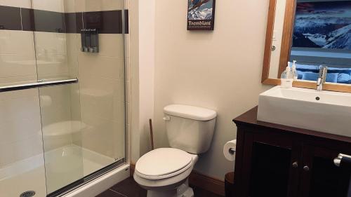 a bathroom with a shower and a toilet and a sink at Condo du Bonheur in Mont-Tremblant