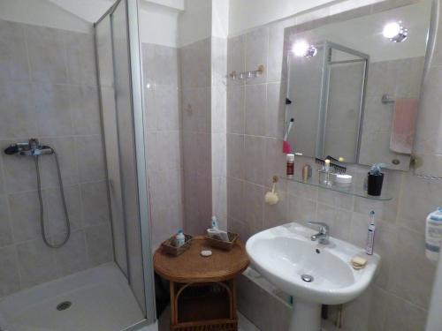 La salle de bains est pourvue d'un lavabo et d'une douche. dans l'établissement Appartement Cannes Ferrié, à Cannes