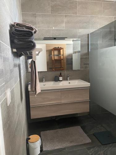 a bathroom with a sink and a mirror at Villa des Grenadelles in Saint-Paul