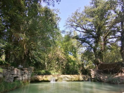 a pool of water with a stone wall and trees at Hospedería SANTA FE in Epároz