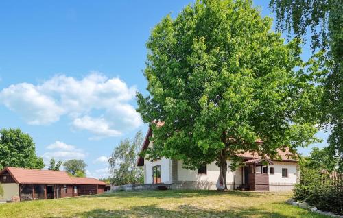 a large tree in front of a house at 7 Bedroom Lovely Home In Szalstry in Szałstry