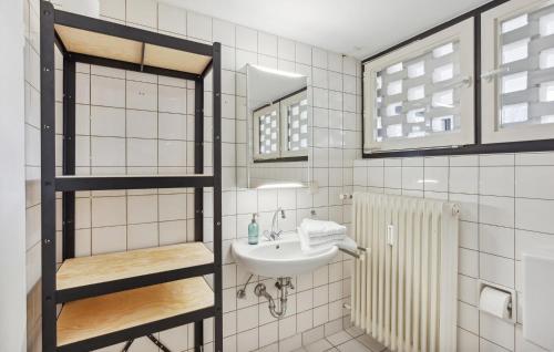 a bathroom with a sink and a mirror at Pet Friendly Apartment In Meschede With Kitchen in Meschede