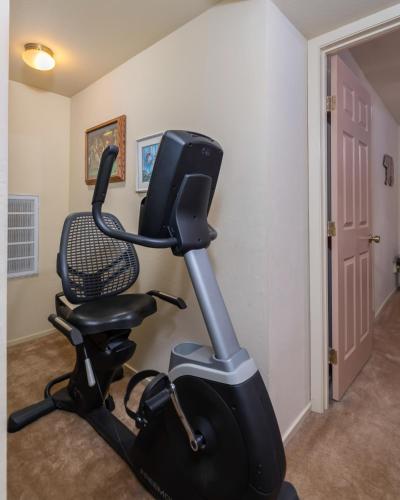 Fitness centrum a/nebo fitness zařízení v ubytování Dragonfly Lodge