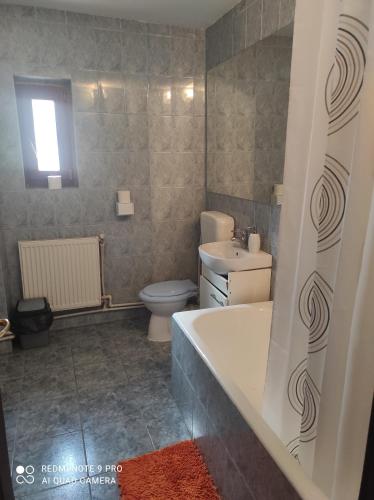 een badkamer met een bad, een toilet en een wastafel bij Vila Maria in Buşteni