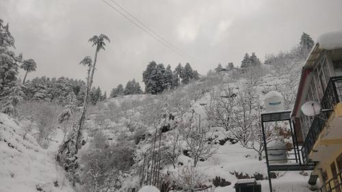 a snow covered hill with trees and a building at Himalayan Cedar in Shimla