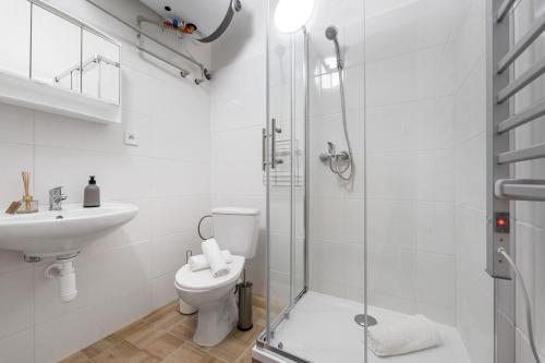 a bathroom with a toilet and a glass shower at Ubytování RACEK in Kolín