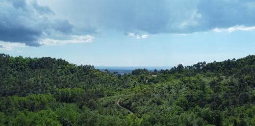 una vista aérea de una colina boscosa con líneas eléctricas en The Sunset Hill with Private Swimming pool and A/C, en Camaiore