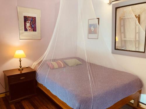 a bedroom with a bed with a mosquito net at Lina's Tango Guesthouse in Buenos Aires