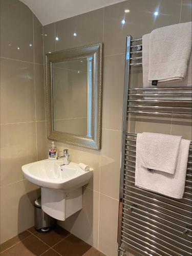 a bathroom with a sink and a mirror at The DeerView Lodge in Cardiff