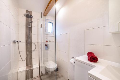 Koupelna v ubytování Im Harzer Vogelnest Meisennest