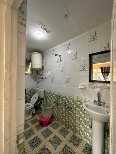 a bathroom with a sink and a toilet at Heritage Rose Inn in Srinagar