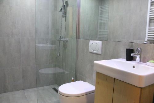 a bathroom with a shower and a toilet and a sink at ski-in/ski-out apartment in Bakuriani in Bakuriani