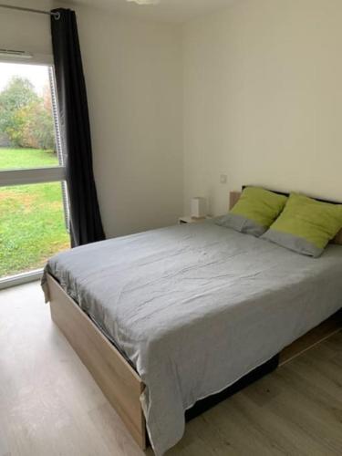 Cette chambre comprend un lit avec des oreillers verts et une fenêtre. dans l'établissement Appartement Pessac, à Pessac