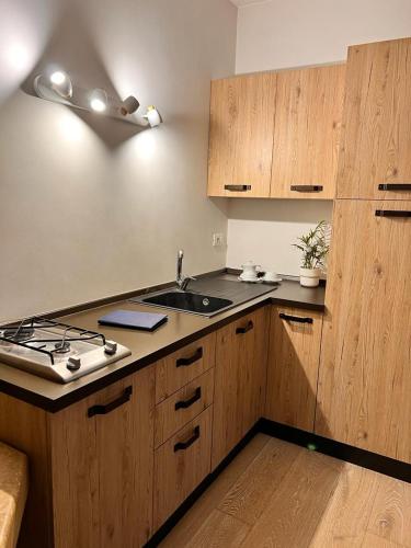 a kitchen with a sink and a stove in it at Alloggio Aquila d'Oro in Creazzo