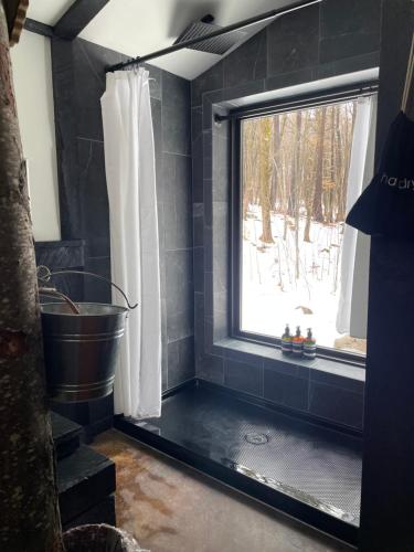 a bathroom with a shower with a window and a tub at Trekker, Treehouses cabins and lodge rooms in Lake George
