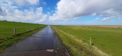a long road in the middle of a field at Apart-Lachmoewe-im-Moewennest-Tossens in Stick