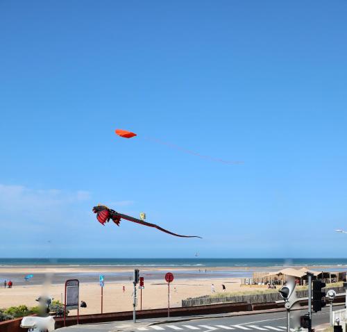 um papagaio a voar no céu sobre a praia em Nid douillet à 30 mètres de la grande plage de Houlgate - RESIDENCE LA VAGUE - em Houlgate