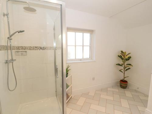 a bathroom with a shower and a potted plant at Hillside Hideaway in Wigton