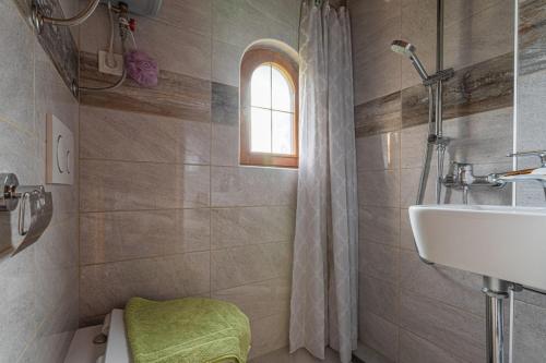 La salle de bains est pourvue d'un lavabo et d'une douche. dans l'établissement Hiška pod Rudnico 1, à Podčetrtek