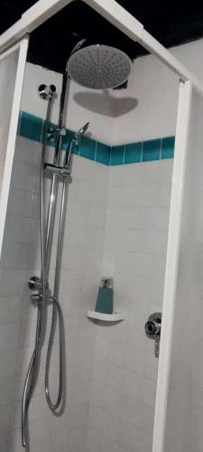 a bathroom with a shower with a shower head at LA CHASCONA DI FARNESE casa di tufo nel borgo in Farnese
