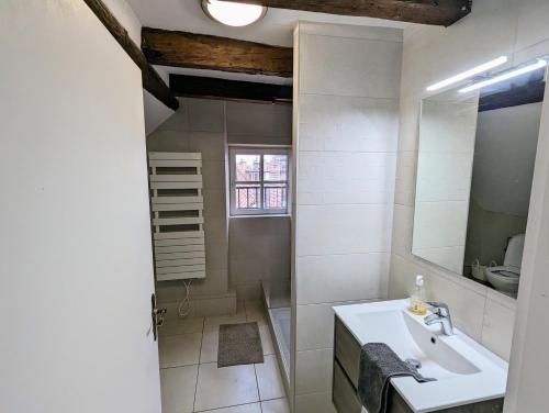 une salle de bain blanche avec un lavabo et un miroir dans l'établissement Appartement des Serruriers, à Strasbourg