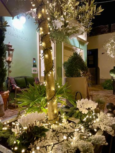 a garden with christmas lights and a tree at Villa Marengo Guest House in Spinetta Marengo