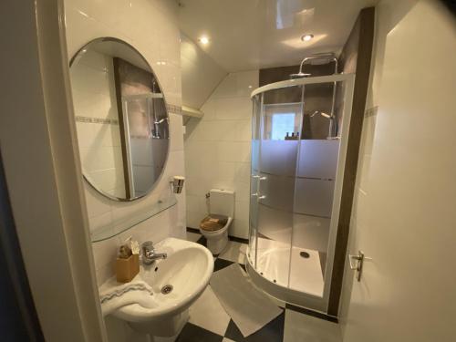 een badkamer met een wastafel, een spiegel en een toilet bij Appartement Lefferts in Zandvoort