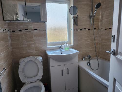 een badkamer met een toilet, een wastafel en een douche bij Dale House- Free Secured Parking in Stivichall