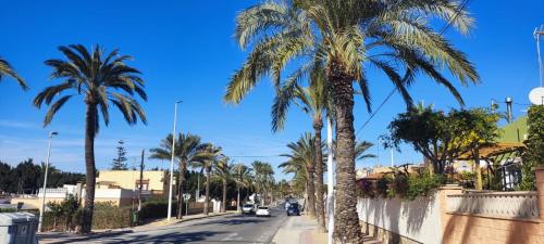 een straat met palmbomen aan de kant van een weg bij Alicante airport and beach in El Altet
