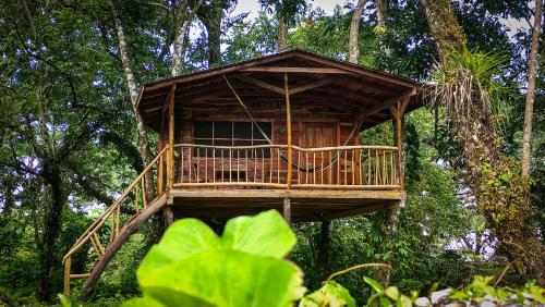 a tree house in the middle of the forest at Jungle Cabins El Escondido in Muy Muy