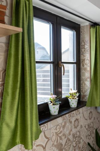 a window with green curtains and two plants on a window sill at Malomvölgyi Vendégház in Balatonalmádi