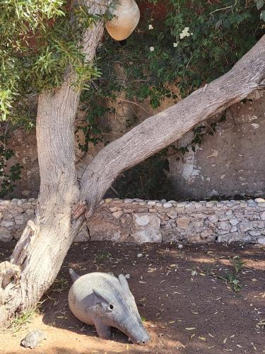 a statue of a rat next to a tree at Villa Al Kharoube in Essaouira
