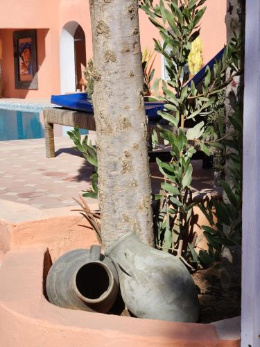 a tree and a vase next to a tree at Villa Al Kharoube in Essaouira