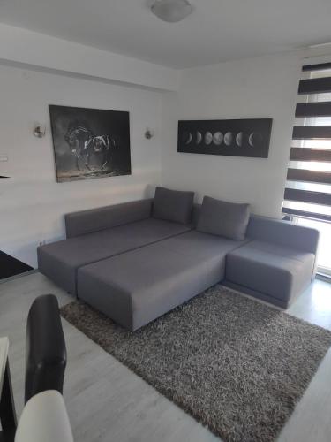 a blue couch in a living room with a rug at Apartment Triangle in Divčibare