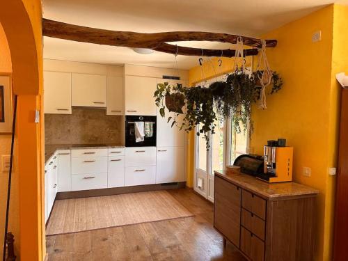 a kitchen with yellow walls and white cabinets at Luxueuse oasis écologique à proximité du lac in Preverenges