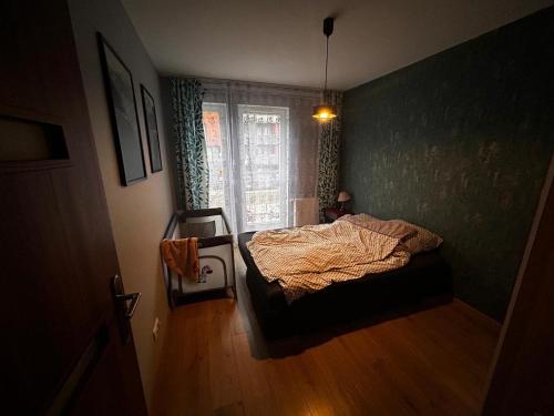 una camera da letto con un letto e una finestra di Szałwiowa Chatka a Breslavia