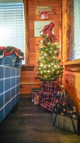 a christmas tree in the corner of a room at Charming Lakeview Cabin Near Geneva-On-The-Lake! in Ashtabula