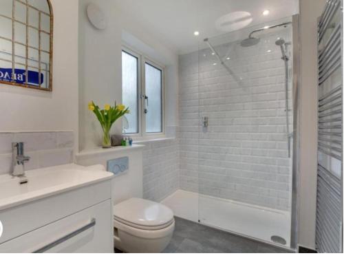 a bathroom with a shower and a toilet and a sink at The Heart of Rye in Rye