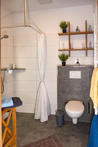 a bathroom with a toilet and a shower at Hirschenwirt in Schönbühel an der Donau