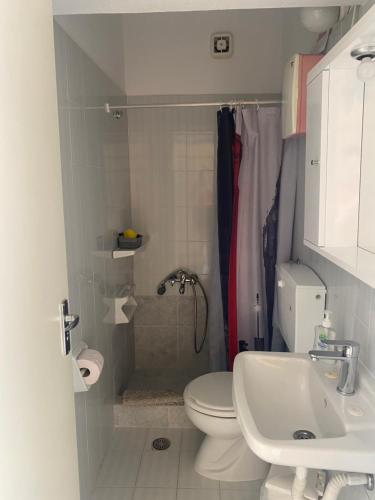 a bathroom with a shower and a toilet and a sink at ZERVOS STUDIOS AND APARTMENTS in Alinda