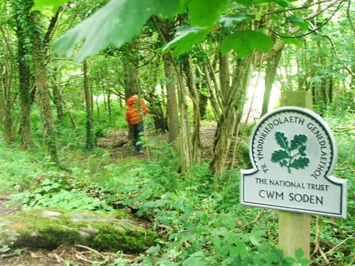 Hosté ubytování Bryn-y-Gof
