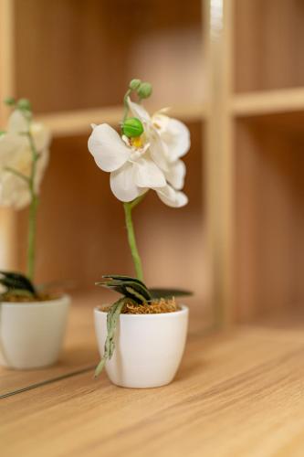 two white flowers in a white pot on a table at Apartment Orehar in Bohinj