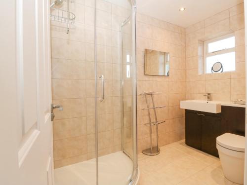 a bathroom with a shower and a toilet and a sink at Riverview Apartment in Cemaes Bay